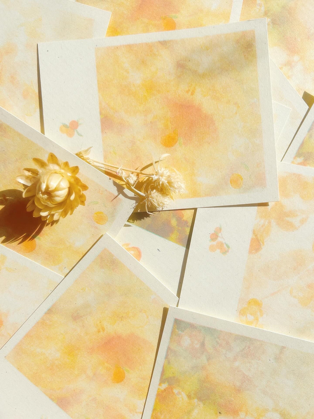 mikan risograph polaroids