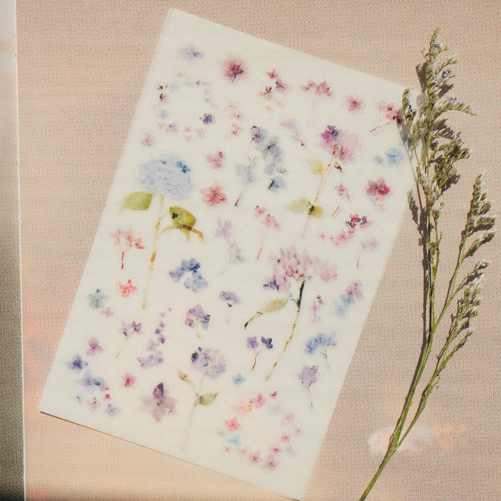 Sticker Sheet - Hydrangea - 2 Sheets