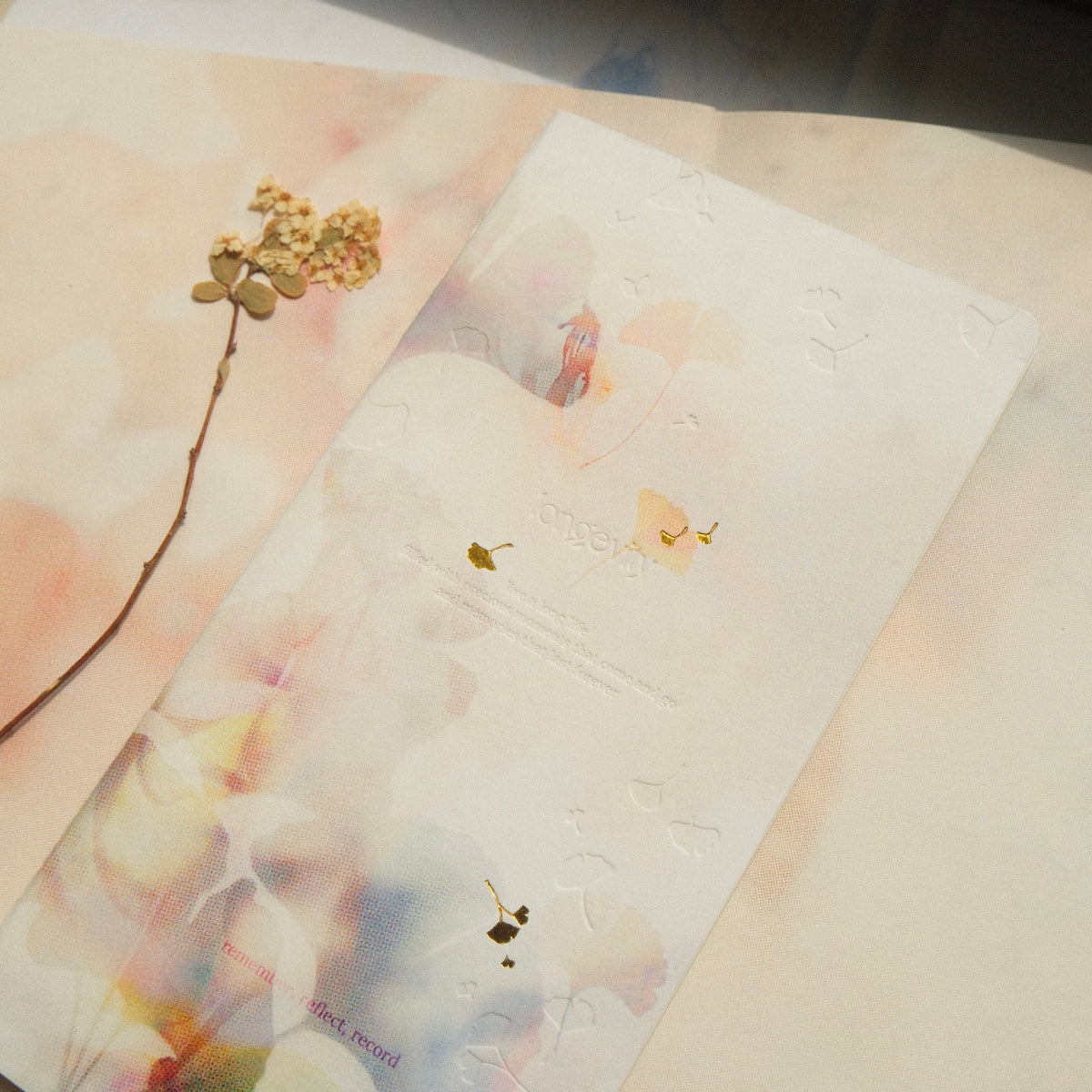 Notebook Insert - Longevity (Pre-order ship October)