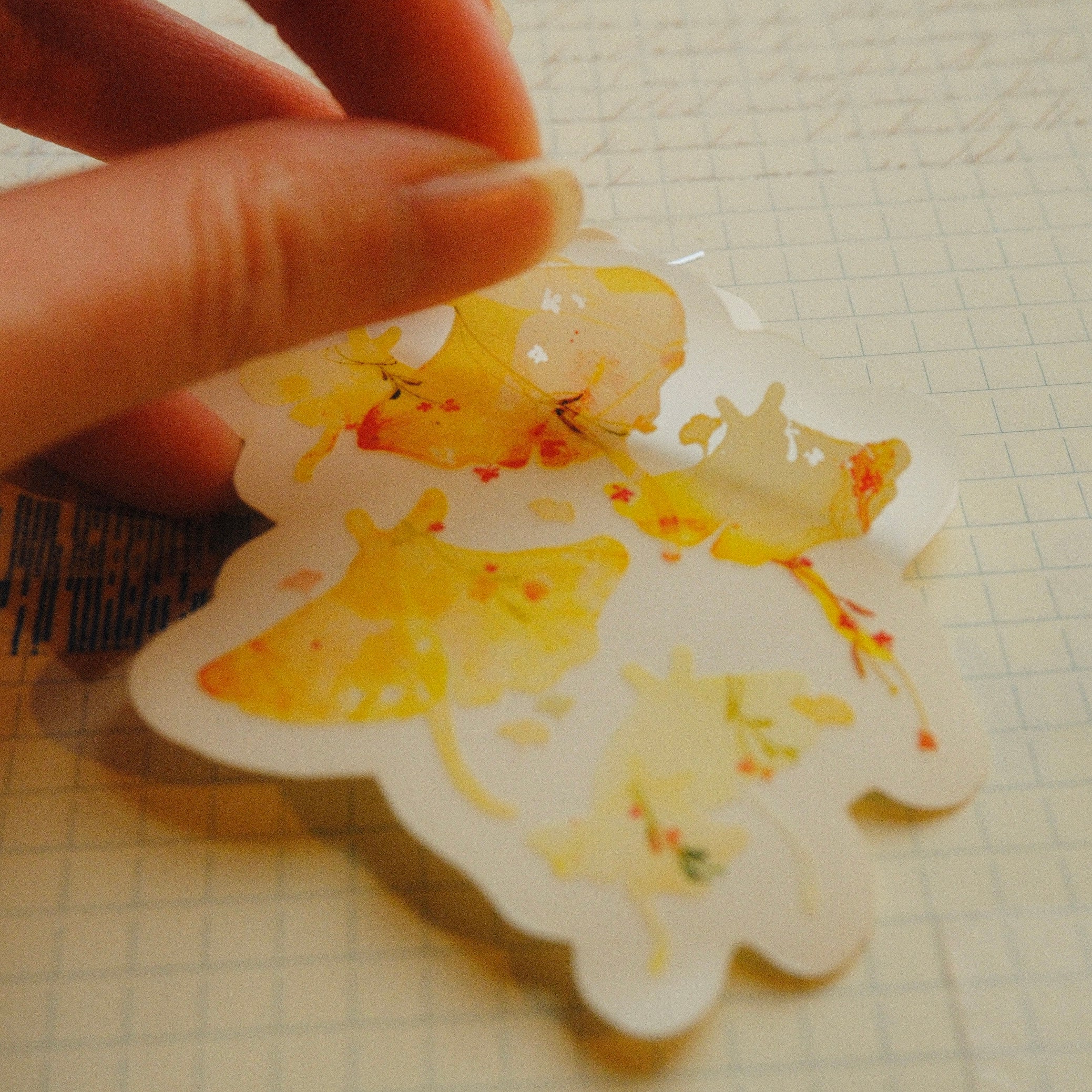 Transparent Sticker - Ginkgo Mantas