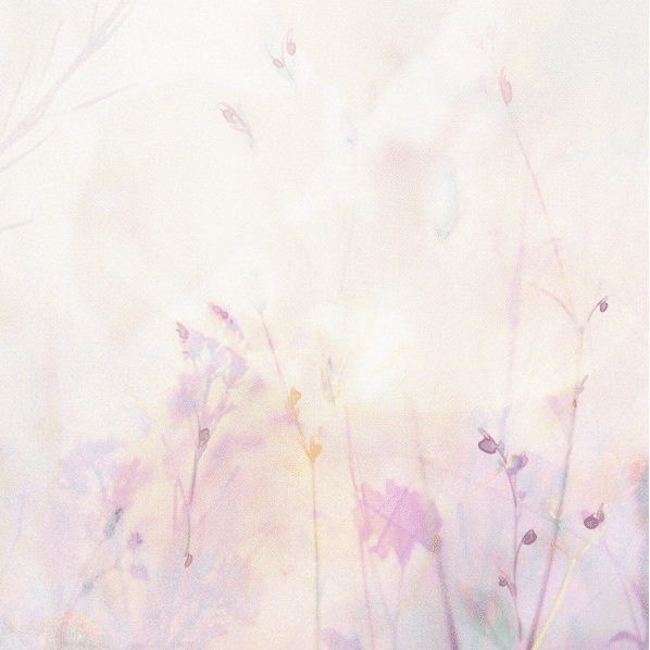 vellum sticky notes | design 3