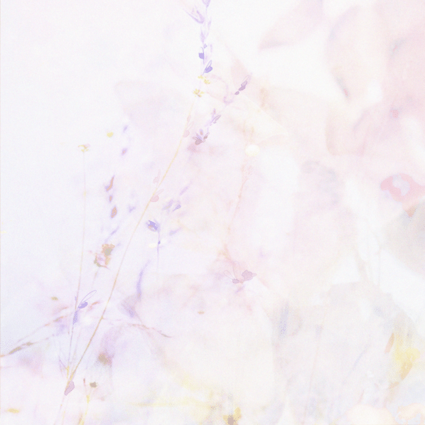 vellum sticky notes | design 4